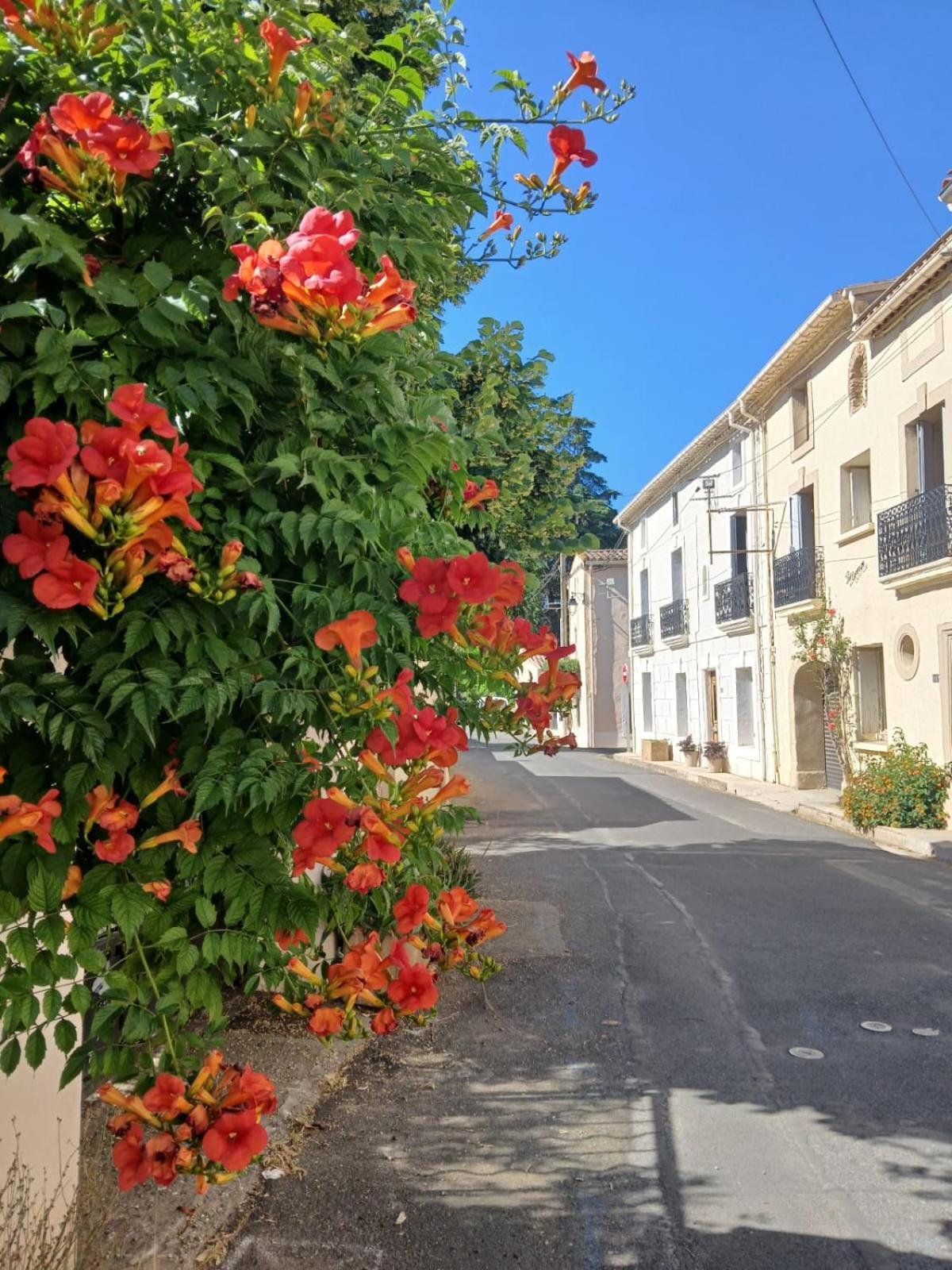 L'Oostaloo Logement De Vacances Usclas-l'Herault ภายนอก รูปภาพ